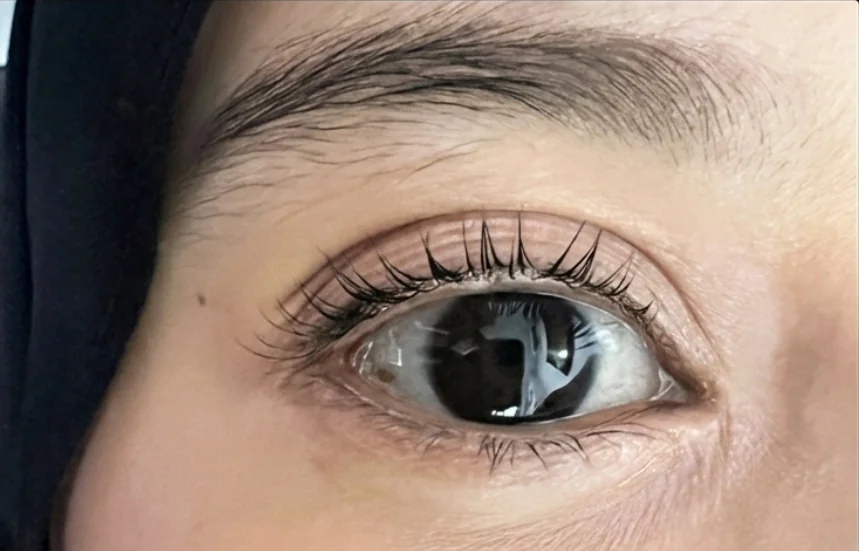 After lash lift, client example 13
