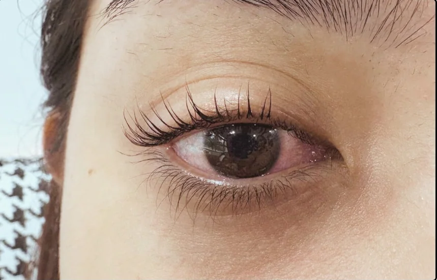 After lash lift, client example 4